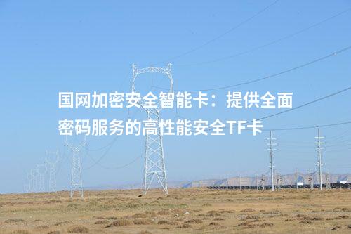 國網加密安全智能卡：提供全面密碼服務的高性能安全TF卡
