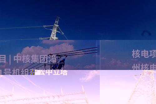 核電項目 | 中核集團(tuán)漳州核電1號機(jī)組獲批裝料
