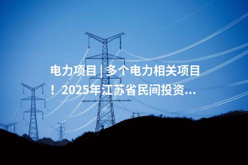 電力項目 | 多個電力相關(guān)項目！2025年江蘇省民間投資重點產(chǎn)業(yè)項目名單發(fā)布