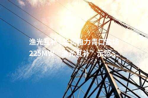 中國電建 | 蘇里南副總統(tǒng)出席中企承建微電網(wǎng)項(xiàng)目二期竣工儀式