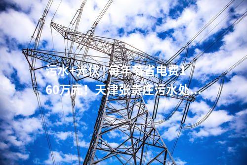 污水+光伏 | 每年節(jié)省電費(fèi)160萬(wàn)元！天津張貴莊污水處理廠(chǎng)分布式光伏項(xiàng)目正式并網(wǎng)發(fā)電