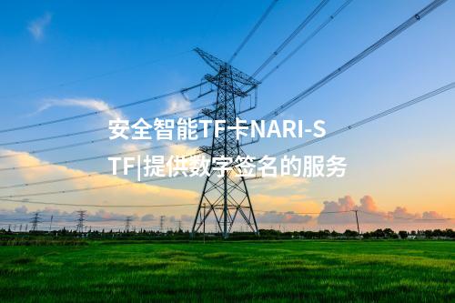 安全智能TF卡NARI-STF|提供數字簽名的服務