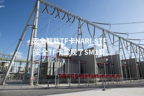 安全智能TF卡NARI-STF|安全TF卡實現了SM1算法的加解密