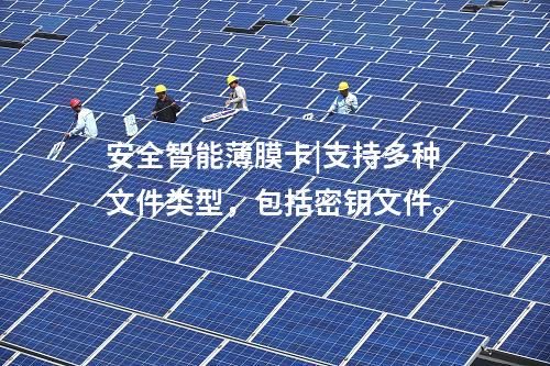 安全智能薄膜卡|安全智能薄膜卡支持?jǐn)?shù)字證書功能。