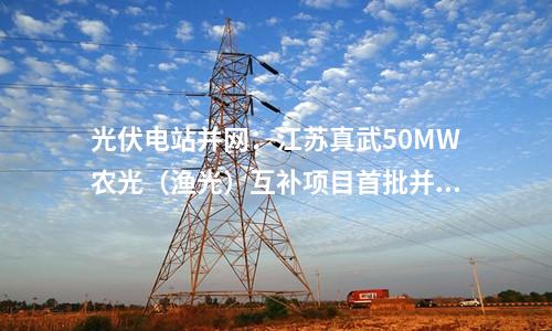 光伏電站并網：江蘇真武50MW農光（漁光）互補項目首批并網