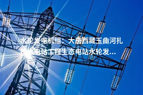水輪發電機組：大唐西藏玉曲河扎拉水電站工程生態電站水輪發電機組及其附屬設備中標公示